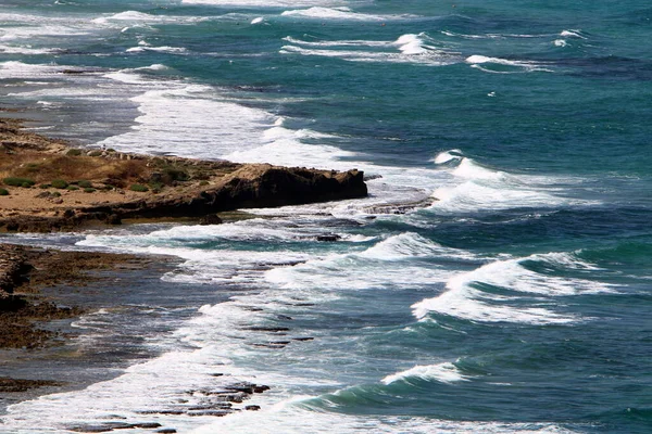 Medelhavets Kust Norra Delen Staten Israel Varm Sommar Israel — Stockfoto