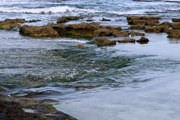 Rive Mer Méditerranée Nord État Israël Été Chaud Israël — Photo