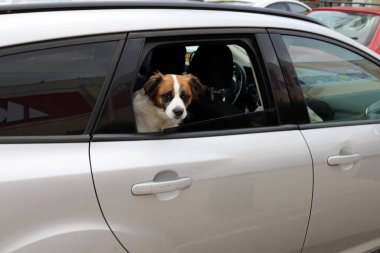 İsrail 'de yakın plan bir araba gövdesi tasarımı 