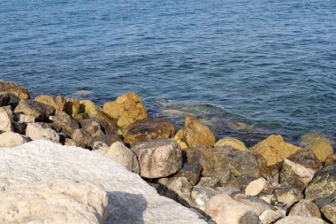 İsrail 'in kuzeyindeki Akdeniz kıyılarında taş ve deniz kabukları. İsrail 'de sıcak yaz 