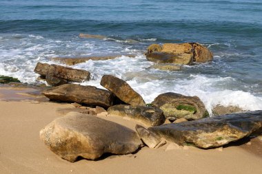 İsrail 'in kuzeyindeki Akdeniz kıyılarında taş ve deniz kabukları. İsrail 'de sıcak yaz 