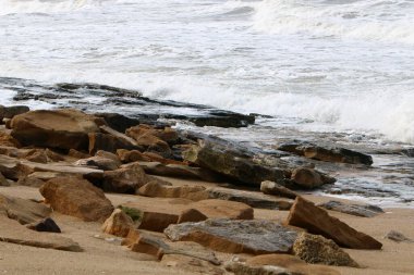 İsrail 'in kuzeyindeki Akdeniz kıyılarında taş ve deniz kabukları. İsrail 'de sıcak yaz 