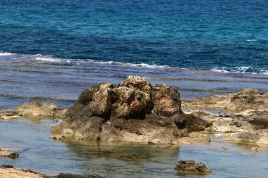 İsrail 'in kuzeyindeki Akdeniz kıyılarında taş ve deniz kabukları. İsrail 'de sıcak yaz 