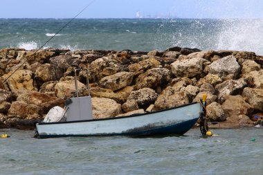 İsrail 'in kuzeyindeki Akdeniz kıyılarında taş ve deniz kabukları. İsrail 'de sıcak yaz 