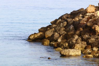 İsrail 'in kuzeyindeki Akdeniz kıyılarında taş ve deniz kabukları. İsrail 'de sıcak yaz 