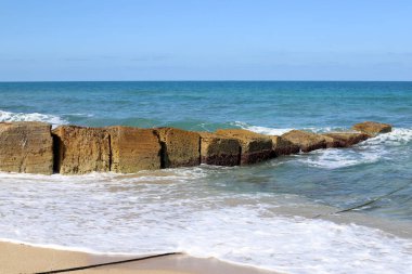 İsrail 'in kuzeyindeki Akdeniz kıyılarında taş ve deniz kabukları. İsrail 'de sıcak yaz 