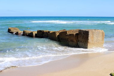 İsrail 'in kuzeyindeki Akdeniz kıyılarında taş ve deniz kabukları. İsrail 'de sıcak yaz 