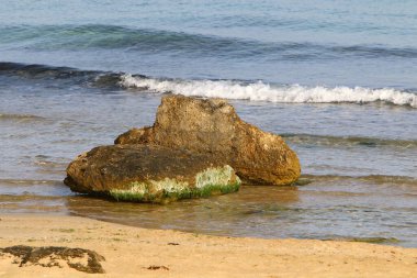 İsrail 'in kuzeyindeki Akdeniz kıyılarında taş ve deniz kabukları. İsrail 'de sıcak yaz 