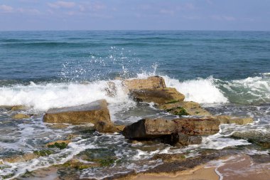 İsrail 'in kuzeyindeki Akdeniz kıyılarında taş ve deniz kabukları. İsrail 'de sıcak yaz 