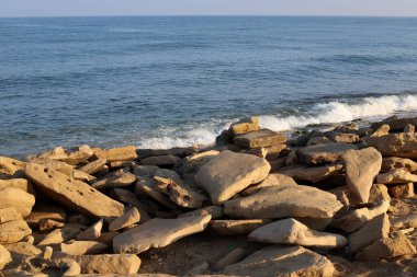 İsrail 'in kuzeyindeki Akdeniz kıyılarında taş ve deniz kabukları. İsrail 'de sıcak yaz 