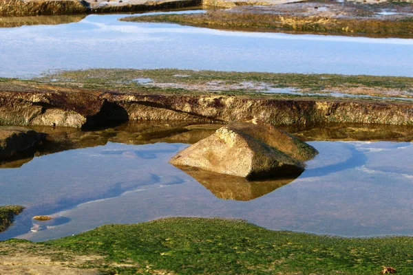 Steine Und Granaten Ufer Des Mittelmeeres Nordisrael Heißer Sommer Israel — Stockfoto