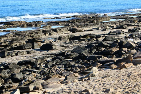 Pietrele Scoicile Țărmurile Mării Mediterane Din Nordul Israelului Vara Caldă — Fotografie, imagine de stoc