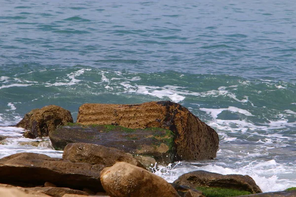 Stenar Och Skal Medelhavets Stränder Norra Israel Varm Sommar Israel — Stockfoto
