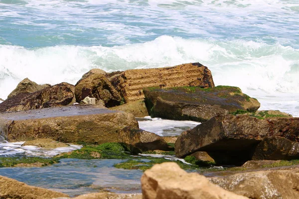 Pedras Conchas Nas Margens Mar Mediterrâneo Norte Israel Verão Quente — Fotografia de Stock