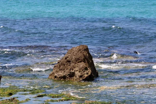 Камни Снаряды Берегу Средиземного Моря Севере Израиля Жаркое Лето Израиле — стоковое фото