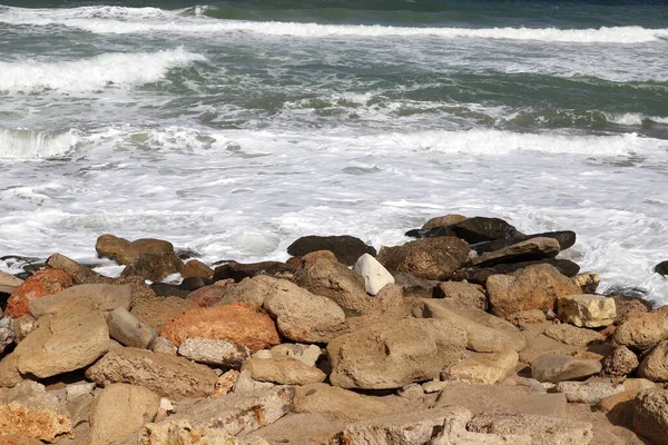 Stenen Schelpen Aan Oevers Van Middellandse Zee Het Noorden Van — Stockfoto