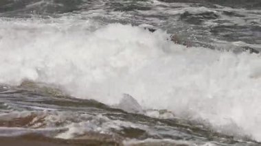 İsrail 'in kuzeyindeki Akdeniz kıyılarında taş ve deniz kabukları. İsrail 'de sıcak yaz 