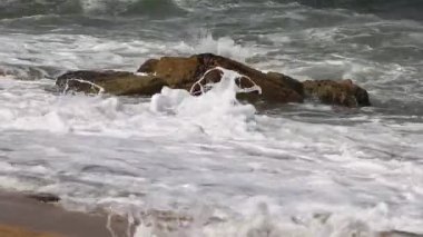 İsrail 'in kuzeyindeki Akdeniz kıyılarında taş ve deniz kabukları. İsrail 'de sıcak yaz 