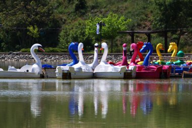 Kuzey İsrail 'deki bir çocuk şehir parkında oyun ve spor rakamları 