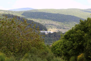 İsrail devletindeki dağların manzarası. İsrail 'de sıcak yaz 