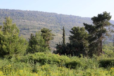 İsrail devletindeki dağların manzarası. İsrail 'de sıcak yaz 