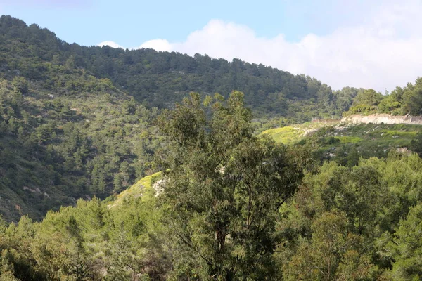 Landscape Mountains State Israel Hot Summer Israel — Stock Photo, Image