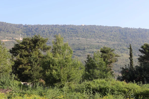 Krajina Horách Státě Izrael Horké Léto Izraeli — Stock fotografie