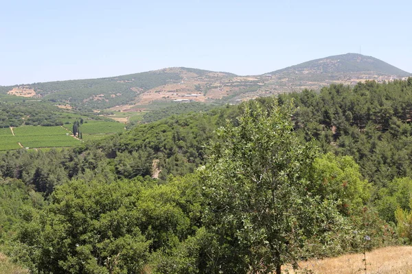 Krajobraz Górach Izraelu Gorące Lato Izraelu — Zdjęcie stockowe
