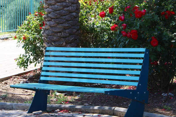 Tourist Bench Stands City Park Shores Mediterranean Sea Northern Israel — Stock Photo, Image