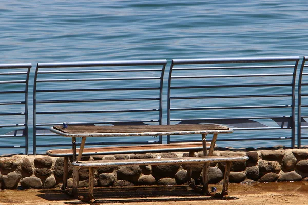 位于以色列北部地中海沿岸的一个城市公园里的一个旅游长椅 — 图库照片