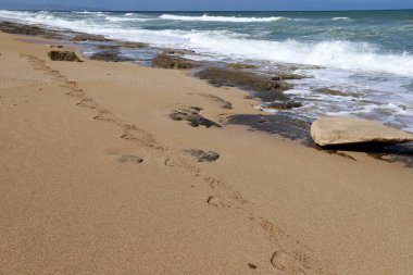 Akdeniz kıyısındaki kumda ayak izleri. Kuzey İsrail 'deki kumlu sahil 