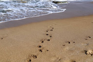 Akdeniz kıyısındaki kumda ayak izleri. Kuzey İsrail 'deki kumlu sahil 