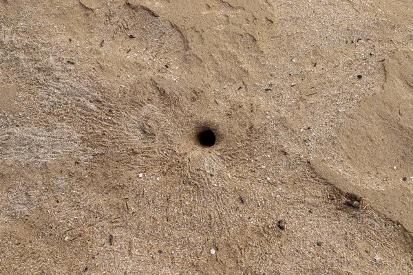 Impronte Sulla Sabbia Sulla Costa Mediterranea Spiaggia Sabbiosa Nel Nord — Foto Stock