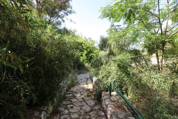Camino Peatonal Parque Urbano Mar Mediterráneo Norte Israel — Foto de Stock