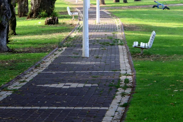 Srail Kuzeyinde Akdeniz Bir Şehir Parkında Yaya Yolu — Stok fotoğraf