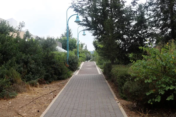 Estrada Pedonal Parque Cidade Mar Mediterrâneo Norte Israel — Fotografia de Stock