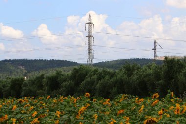 İsrail 'de mavi gökyüzüne karşı yalıtkan ve elektrik kablolarıyla metal destek direği 