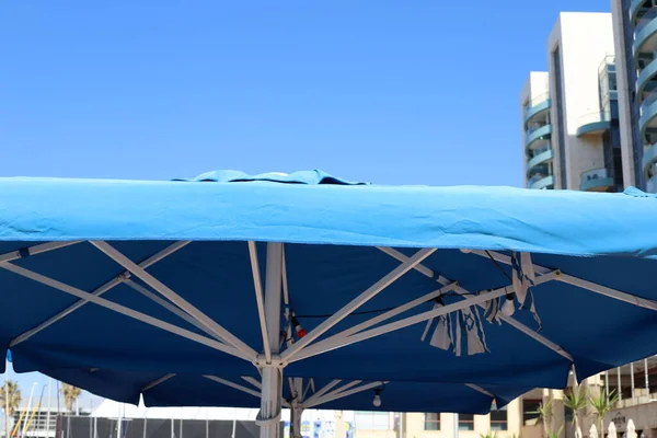 Paraplu Een Stadspark Aan Middellandse Zee Het Noorden Van Israël — Stockfoto