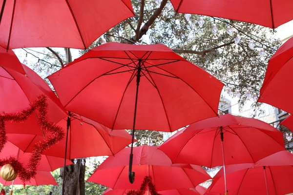 umbrella in a city park on the Mediterranean Sea in northern Israel