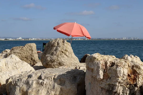 umbrella in a city park on the Mediterranean Sea in northern Israel