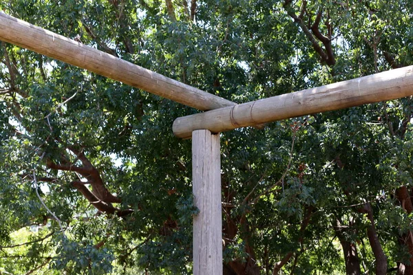 Textura Madera Los Productos Madera Las Fibras Forman Característico Grano — Foto de Stock