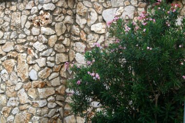 Kuzey İsrail 'deki Haçlılar ve Hastahaneciler' in antik bir kalesinin kale harabeleri. 