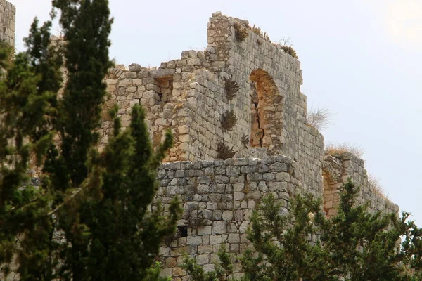Erődfal Romjai Egy Ősi Erődítmény Keresztesek Hospitallers Észak Izraelben — Stock Fotó
