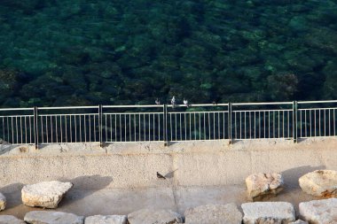 İsrail 'in kuzeyindeki Akdeniz kıyısındaki bir şehir parkında güvenlik çiti. 