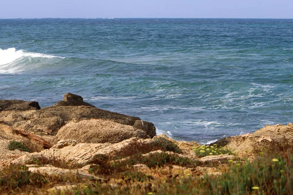 イスラエルの北の地中海の無人海岸 — ストック写真