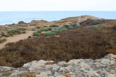 İsrail devletinin kuzeyinde Akdeniz 'in ıssız kıyıları 