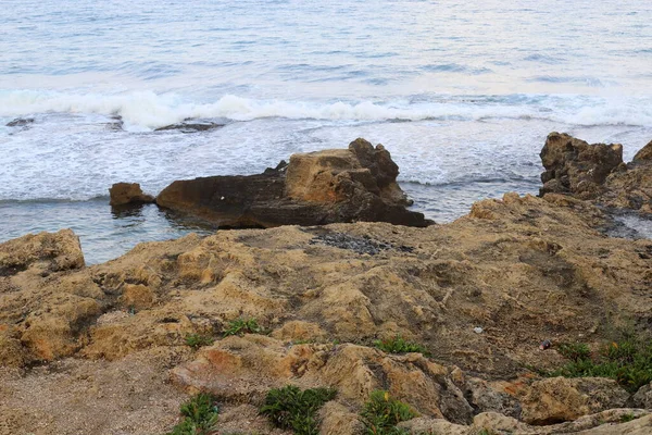 Deserted Coast Mediterranean Sea North State Israel — Stock Photo, Image