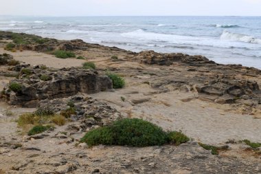 İsrail devletinin kuzeyinde Akdeniz 'in ıssız kıyıları 