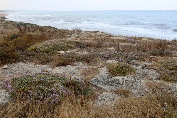 İsrail devletinin kuzeyinde Akdeniz 'in ıssız kıyıları 