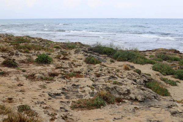 Costa Deserta Del Mar Mediterraneo Nel Nord Dello Stato Israele — Foto Stock